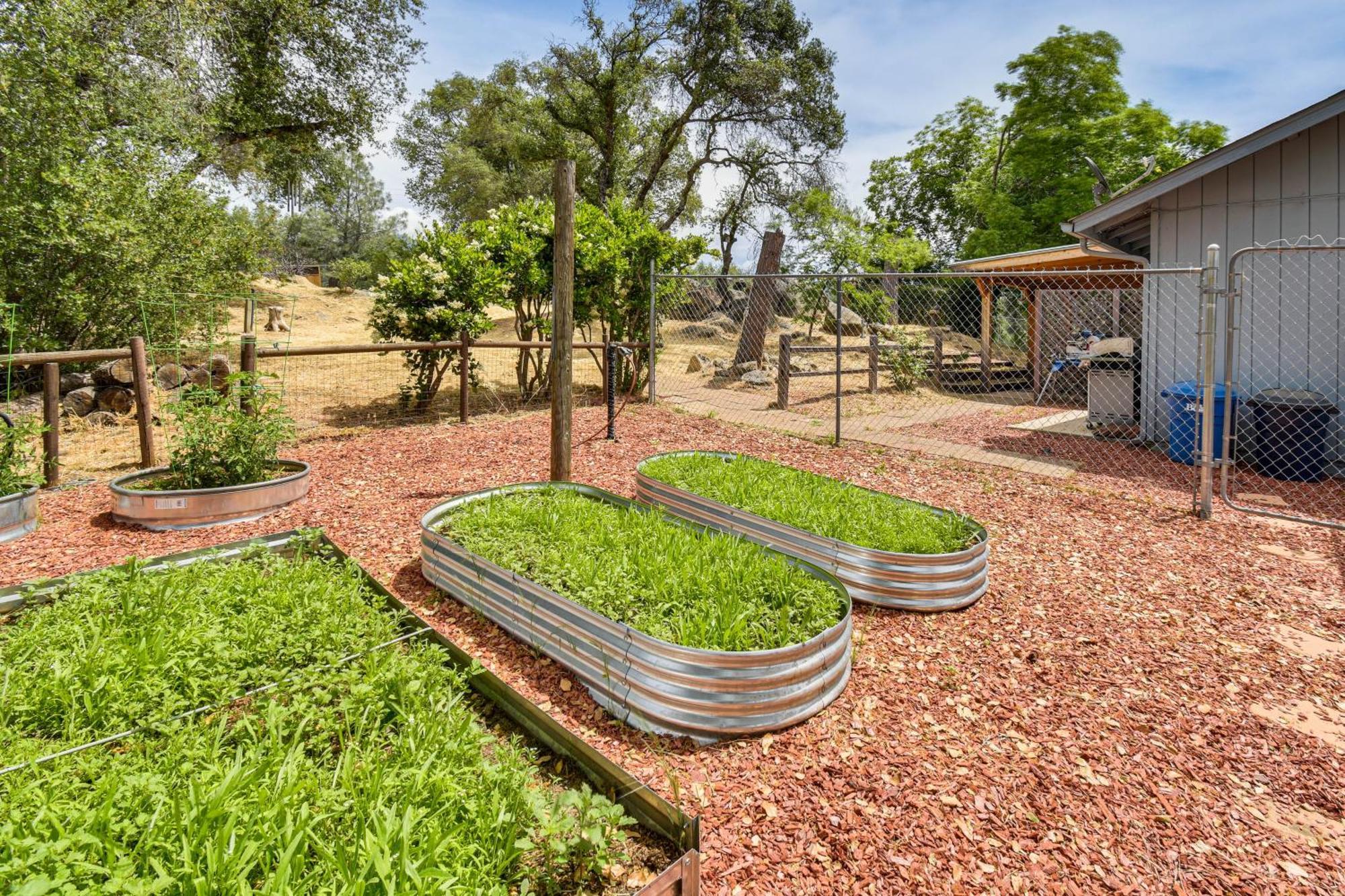 Yosemite Wellbeing Retreat On 5 Acres With Mtn Views Daire Ahwahnee Dış mekan fotoğraf